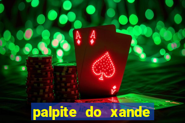 palpite do xande de hoje